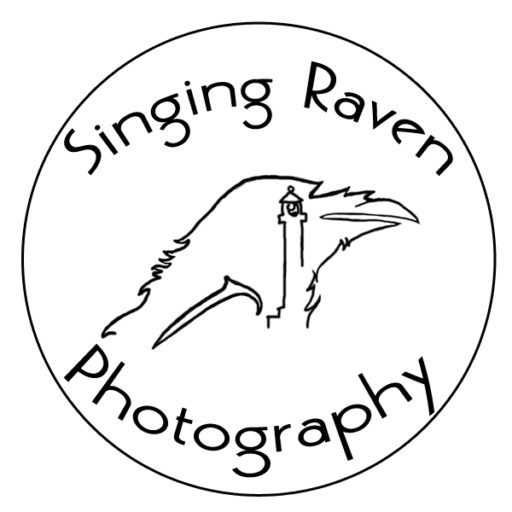 Singing Raven Photography